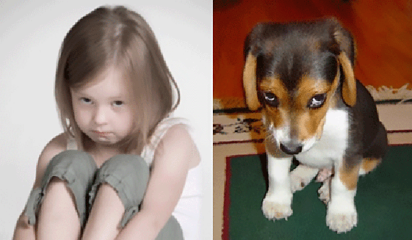 Enfant jouant la culpabilité et chien en position d'apaisement