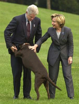 Clinton et son chien