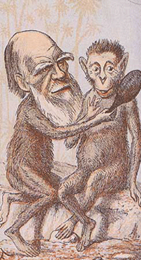 Darwin en singe