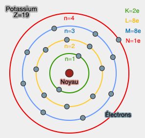 Atome de potassium