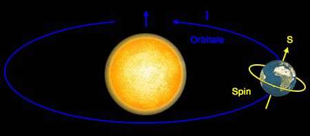 Spin-orbitale
