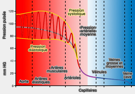 Pression sanguine