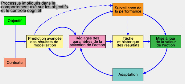 Processus impliqués dans le comportement axé sur les objectifs et le contrôle cognitif