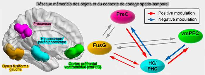 Réseaux mémoriels des objets et du contexte de codage spatio-temporel