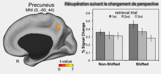 Récupération suivant le changement de perspective dans le précuneus