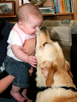 Communication chien/bébé