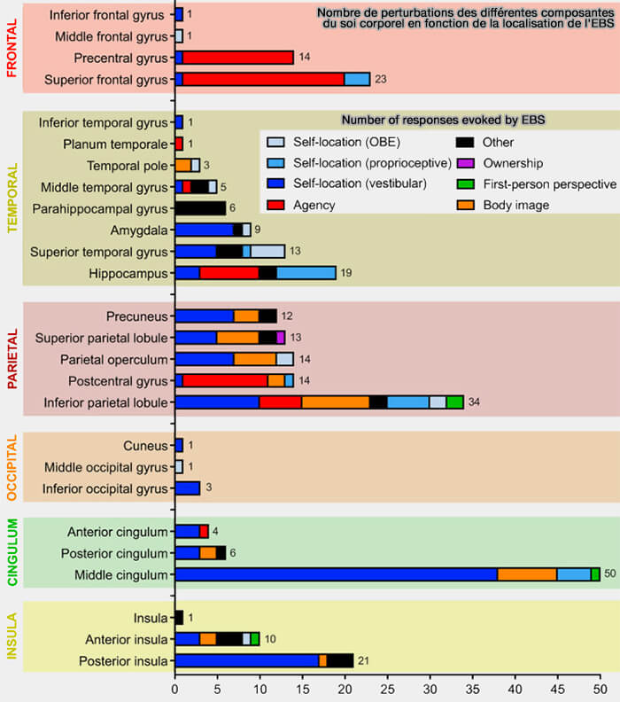 Perturbations de la BSC suivant les EBS