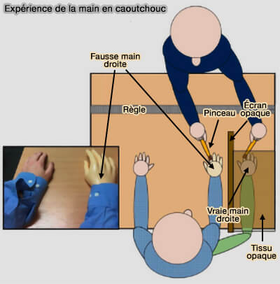 Paradigme de la main en caoutchouc