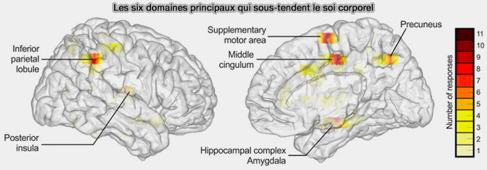 Les six domaines principaux du soi corporel