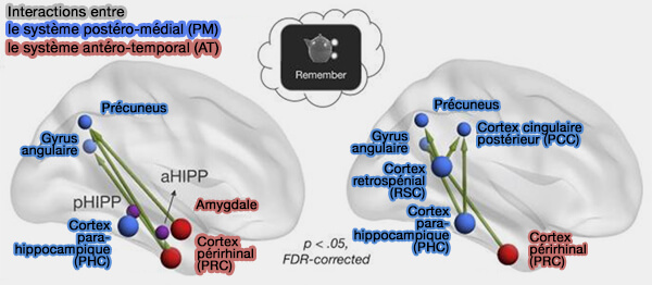 Interactions PM/AT dans la mémoire épisodique