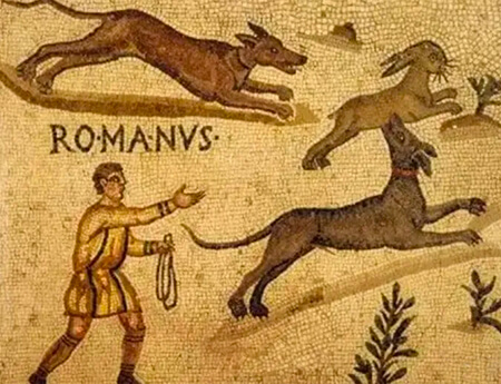 Chiens de chasse romains 

