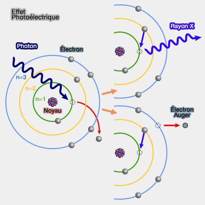 Mod le Standard Des Particules Photons